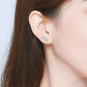 Cat Footprint earrings in sterling silver